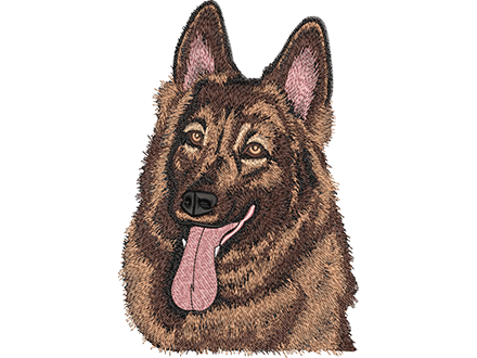 Chenille & Towel Digitizing