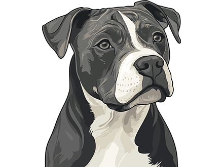 Pet dog illustration vector